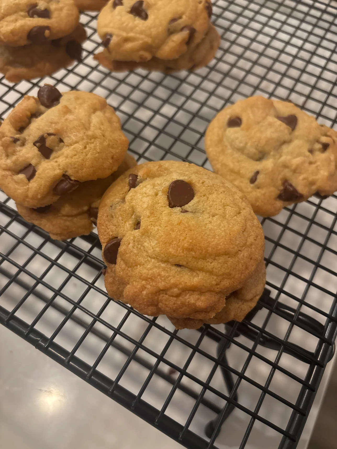 Chocolate chip cookies